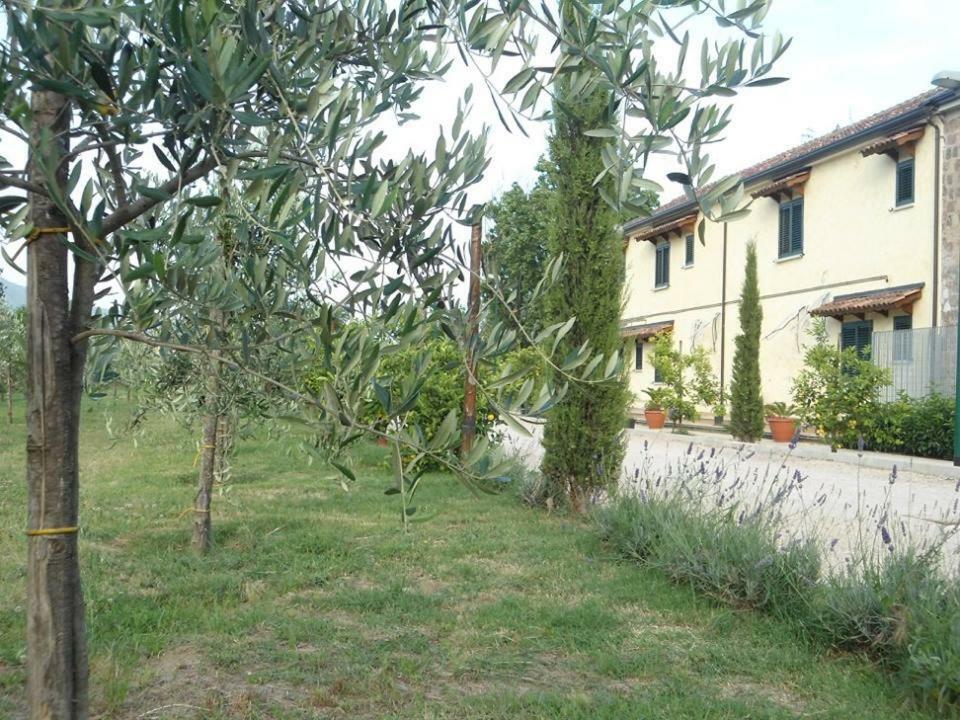 Nenna Country Capua Exterior foto