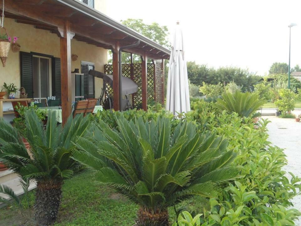 Nenna Country Capua Exterior foto