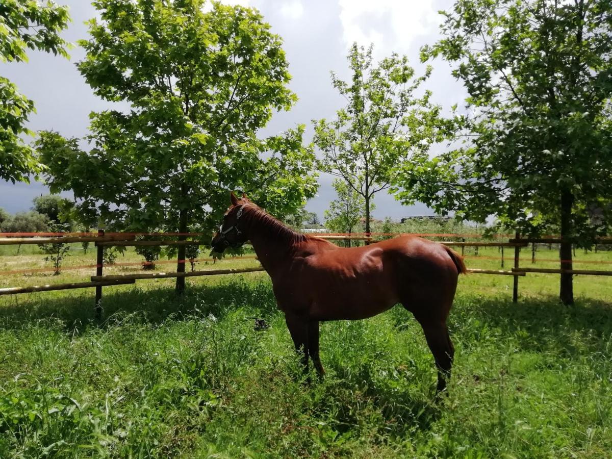 Nenna Country Capua Exterior foto